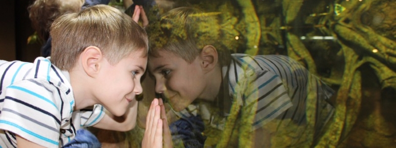 Rizzo's Wildlife World