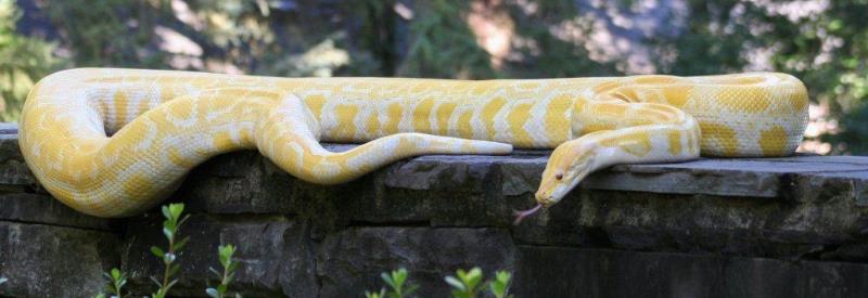 Rizzos Wildlife World