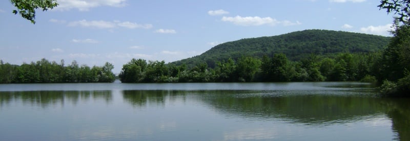 Saddle Ridge Riding Center