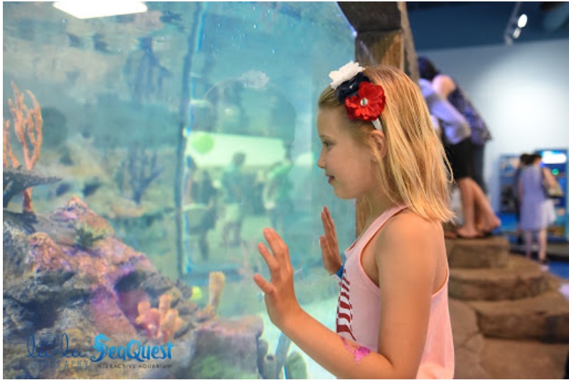 Image of  a young girl enjoying the tour of the aquarium
