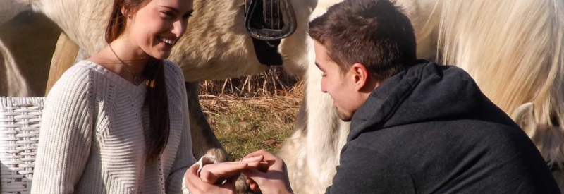  Seaton Hackney Proposals