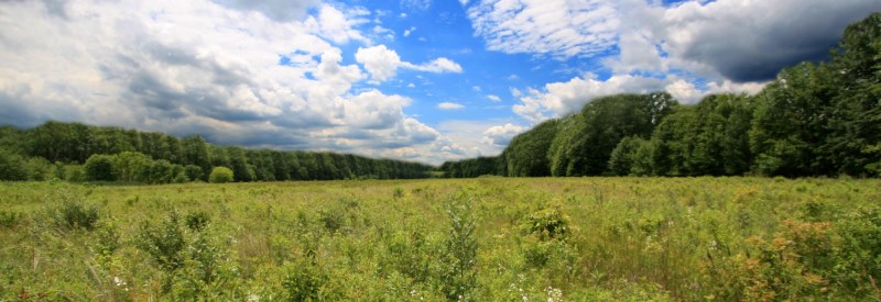 Seaton Hackney Stables