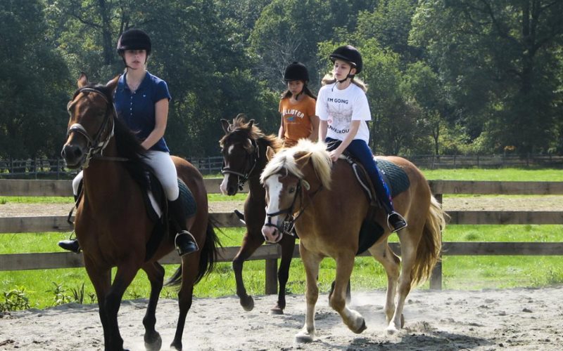 Seaton Hackney Stables, Day Camps in NJ, in Morristown, Morris County