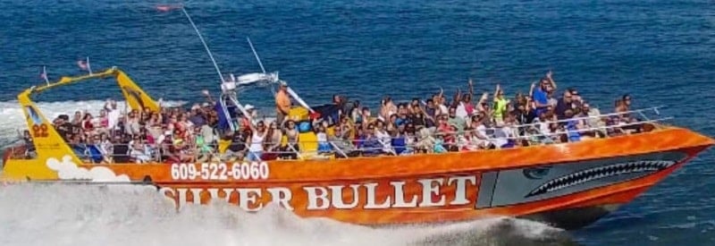 Silver Bullet Speedboat & Dolphin Watch 