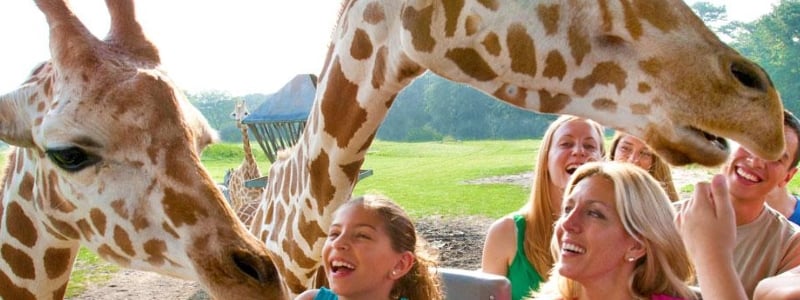 Six Flags Wild Safari Drive Thru Adventure