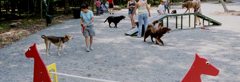 South Mountain Dog Park