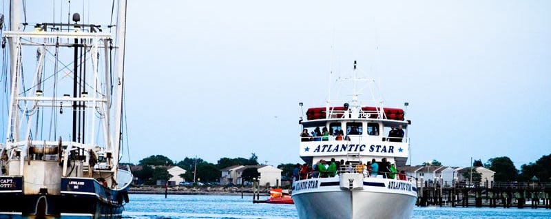 Sundown Dolphin Cruise