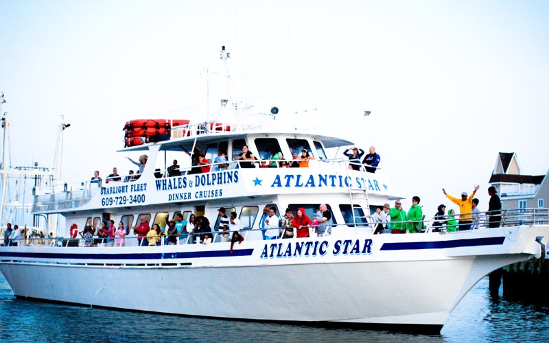 dolphin tours wildwood crest