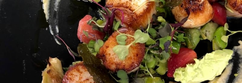 The Blue Bottle Cafe