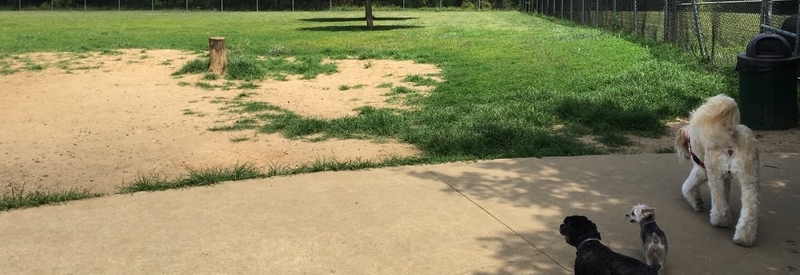 Thompson Park Dog Run