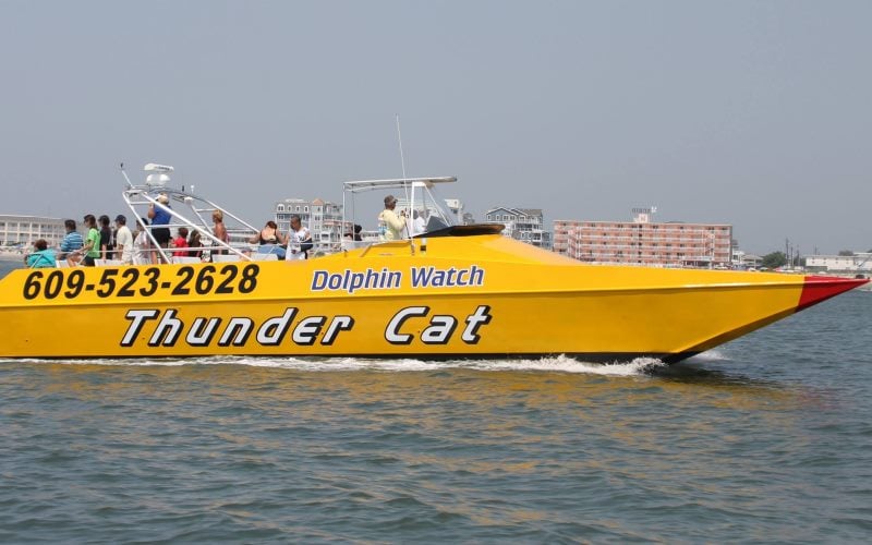 boat tours in wildwood nj