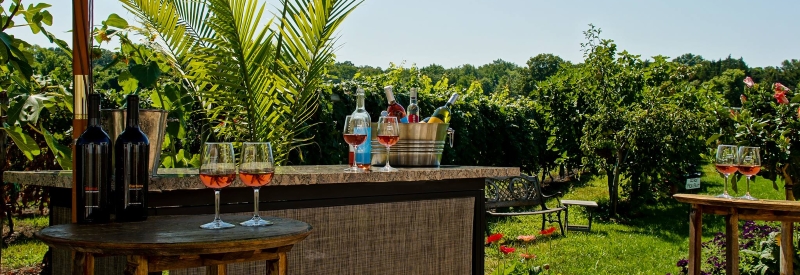 Turdo Vineyards and Winery