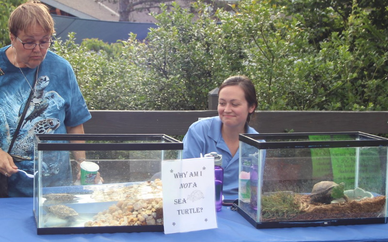 Image of two volunteers at sea turtle recovery