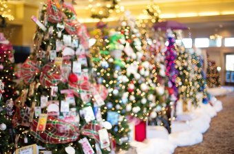 Photo of Christmas trees with gifts under them as a holiday attraction in NJ