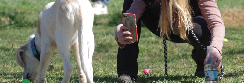 Vernon Off-Leash Dog Park