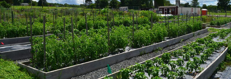 Wagner Farm Arboretum