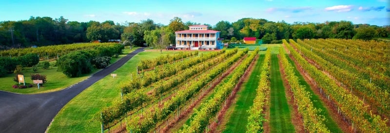 Willow Creek Farm & Winery
